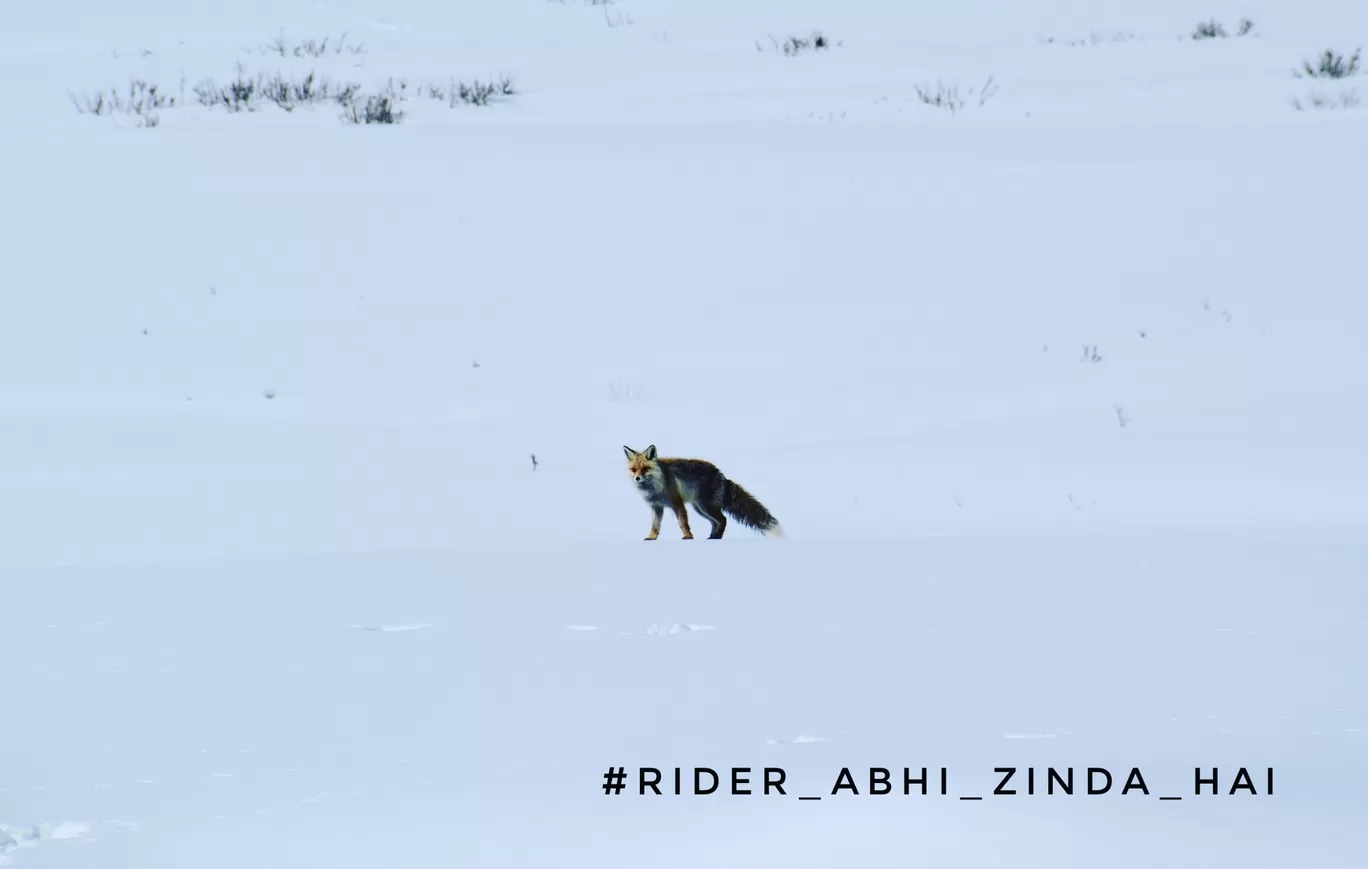 Photo of Spiti Valley By Aman Kaushik