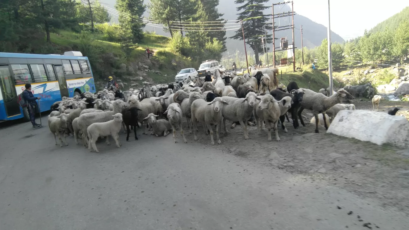 Photo of Manali By Yash Agrawal