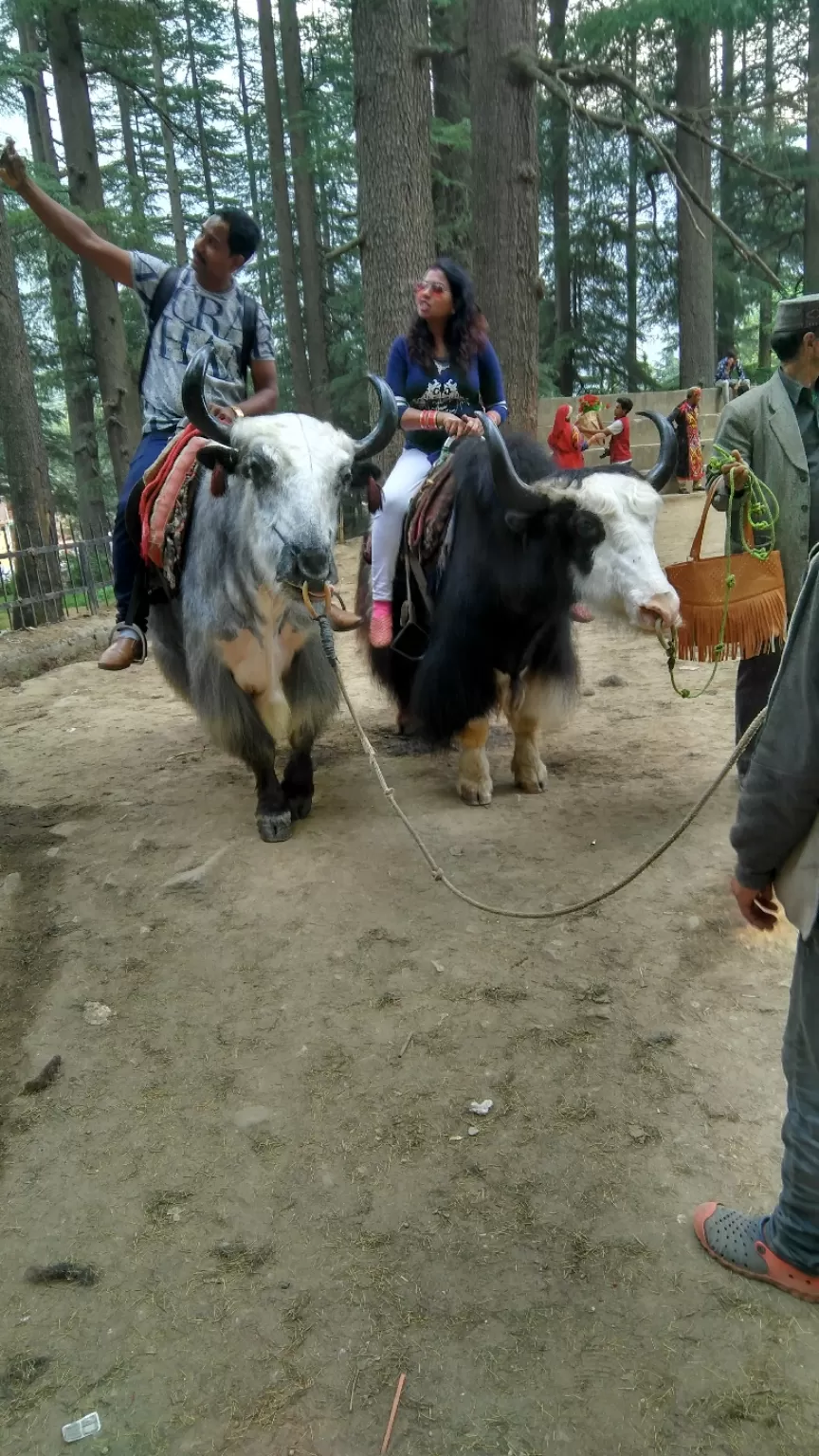 Photo of Manali By Yash Agrawal