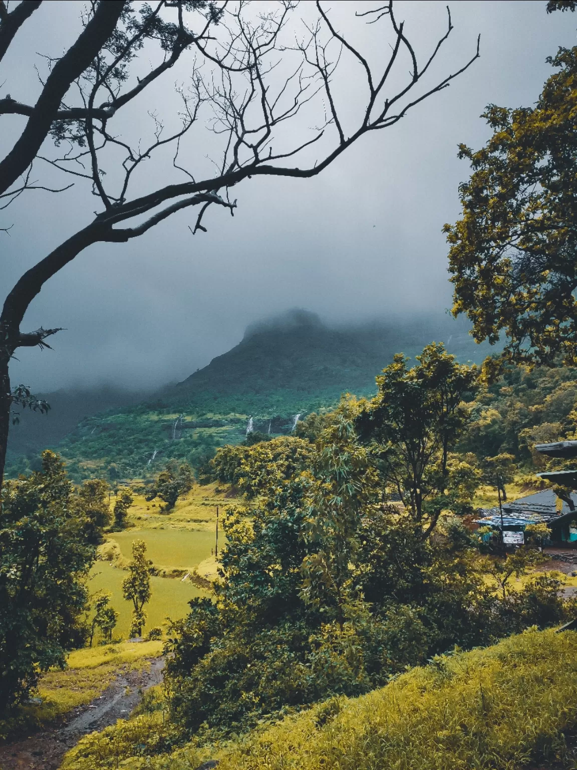 Photo of Kalsubai Trek By Narayan Ghadge