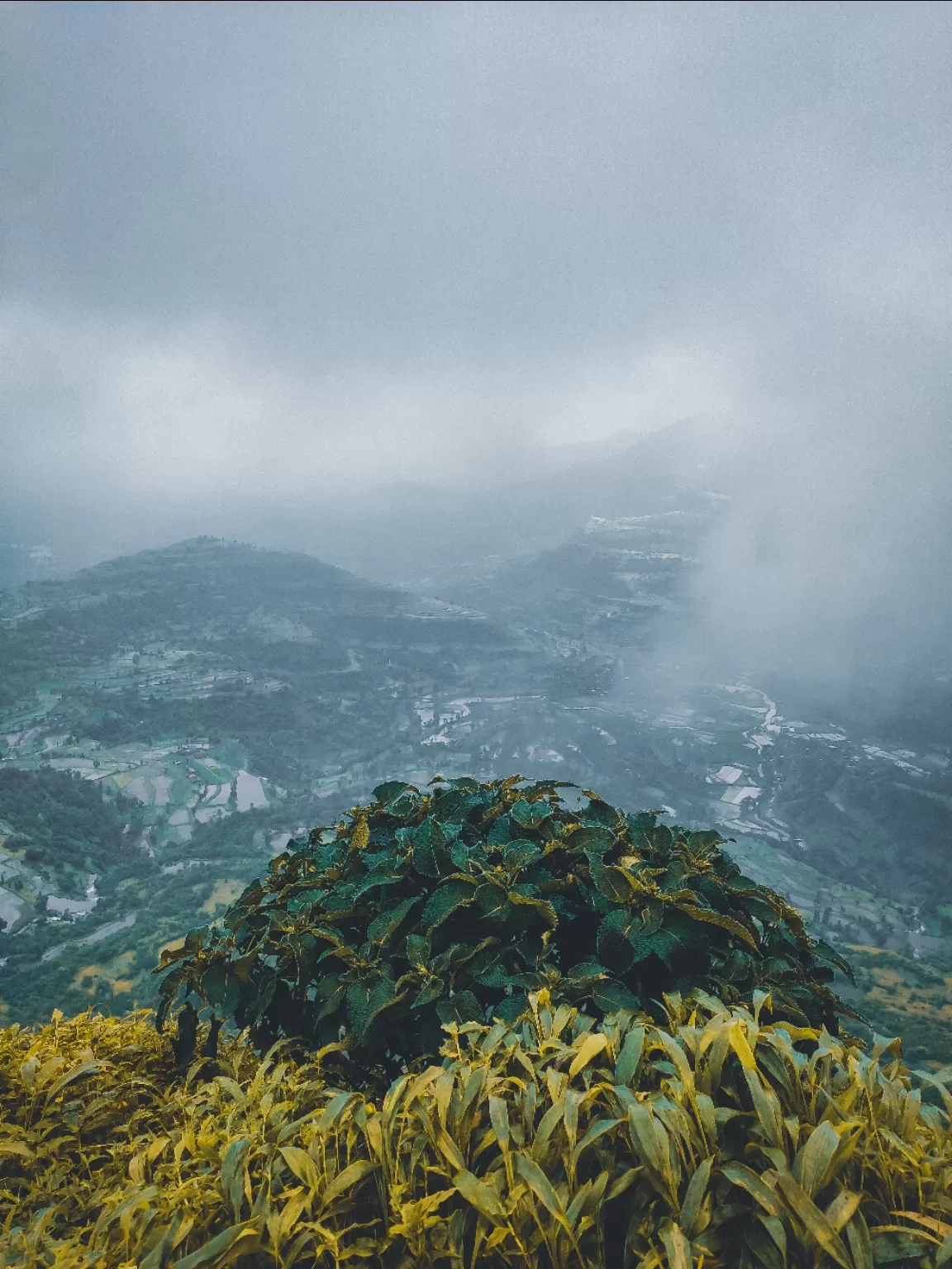 Photo of Kalsubai Trek By Narayan Ghadge