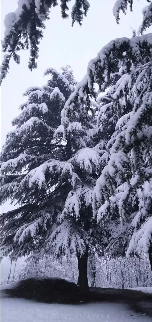 Photo of Jammu and Kashmir By Aashu Bhat