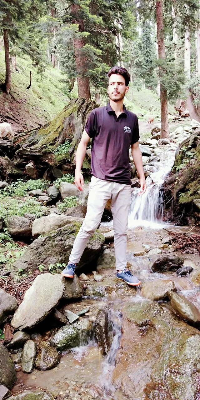 Photo of Jammu and Kashmir By Aashu Bhat
