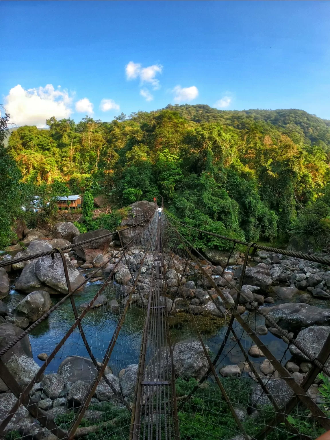 Photo of Double Decker Living Root Bridge By Psaswetravel