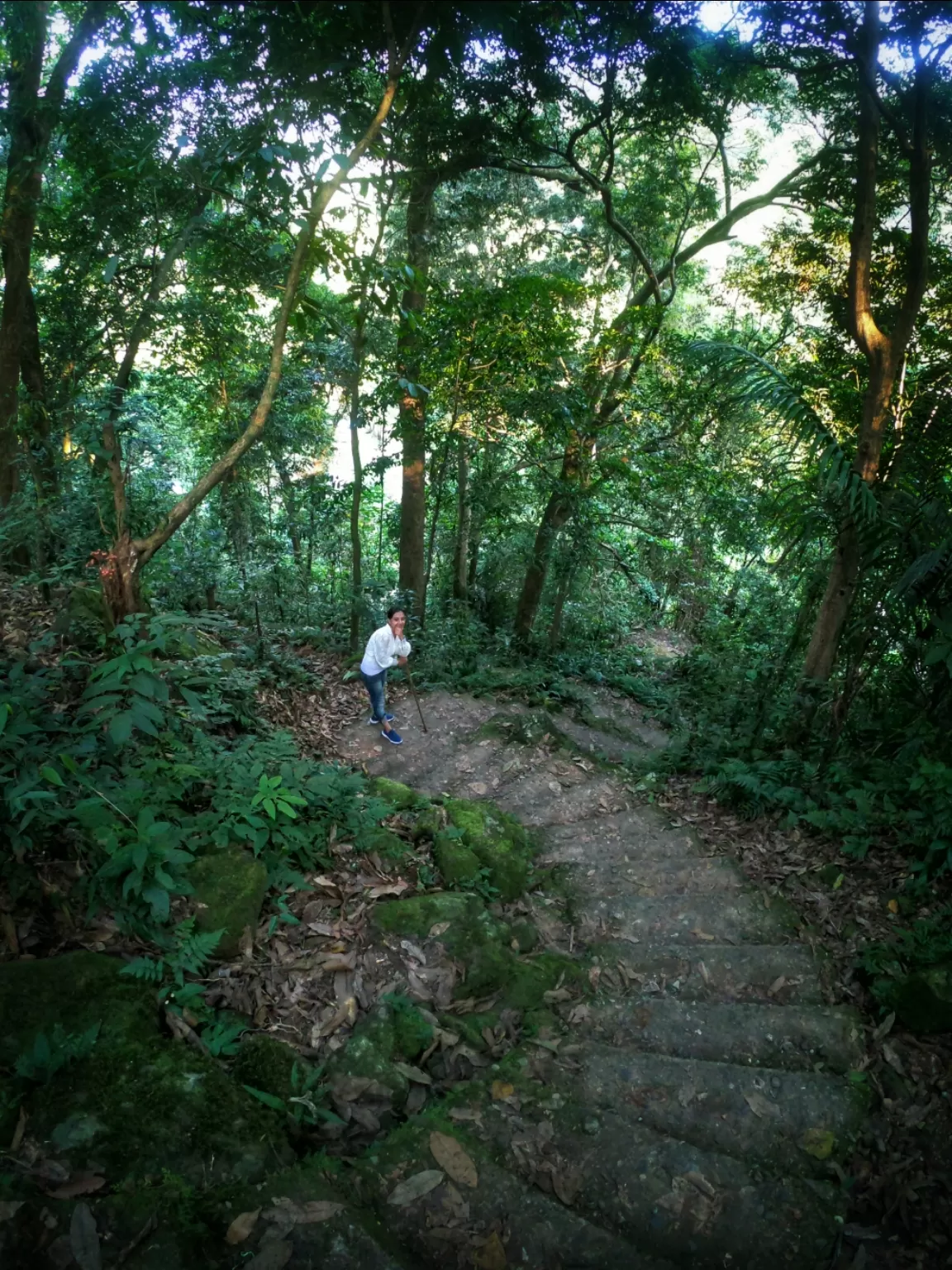 Photo of Double Decker Living Root Bridge By Psaswetravel