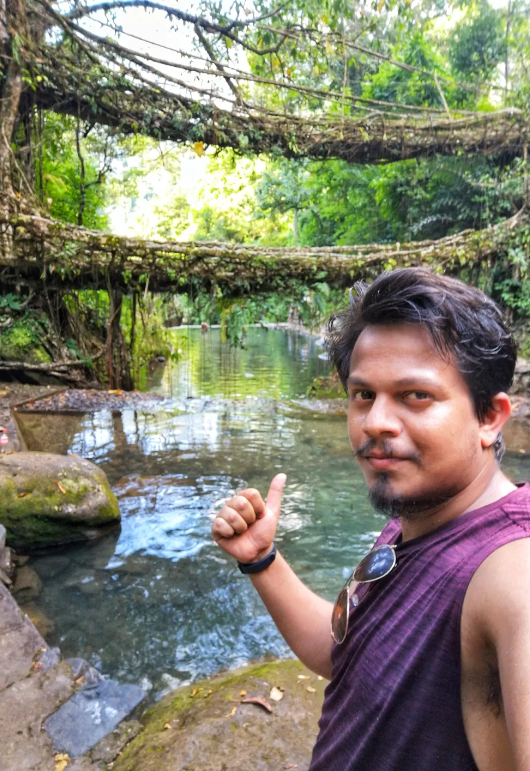 Photo of Double Decker Living Root Bridge By Psaswetravel