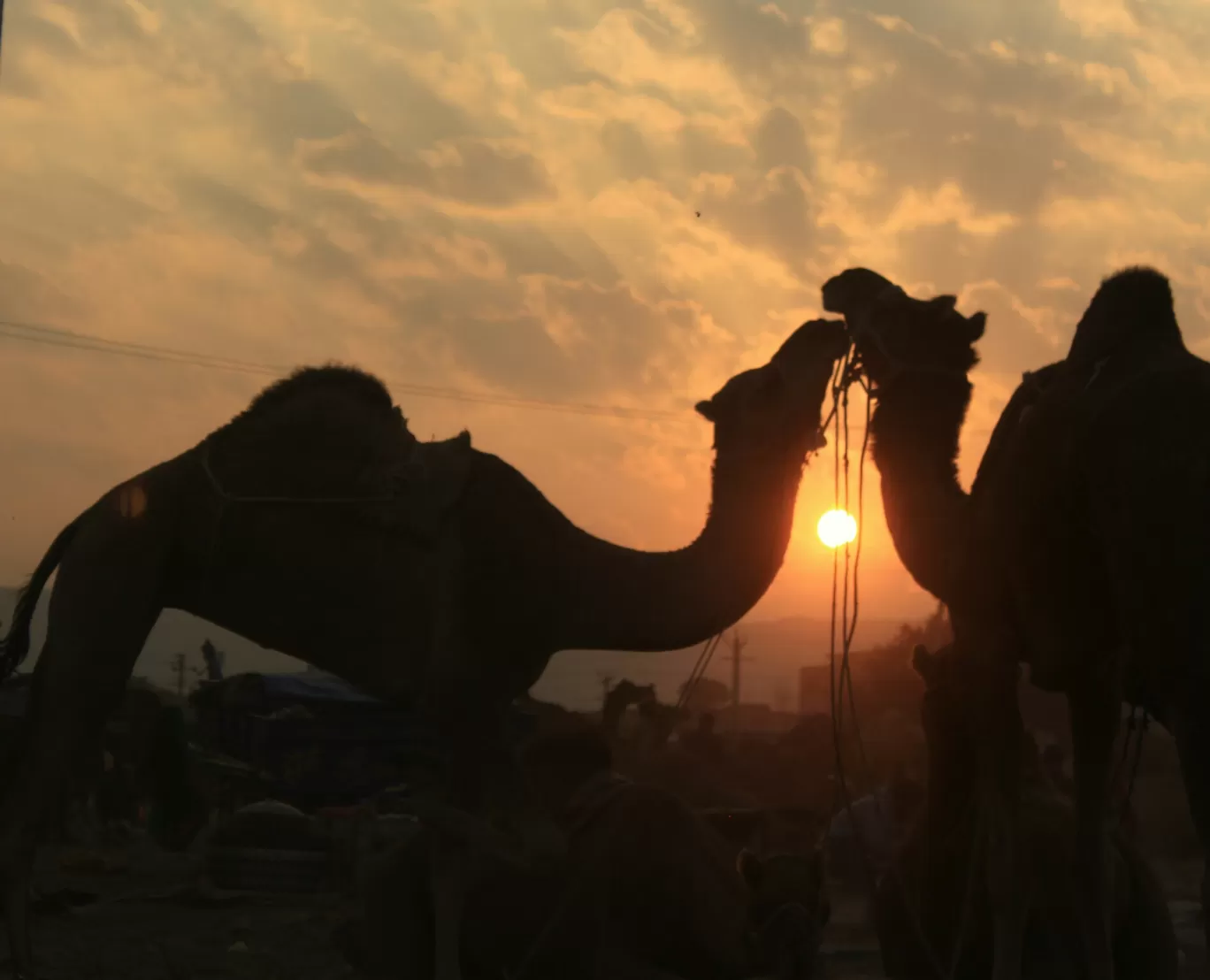 Photo of Rajasthan By Chetan Gandhi