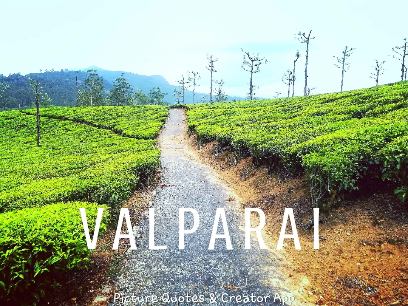 Photo of Valparai By HARI SANKAR