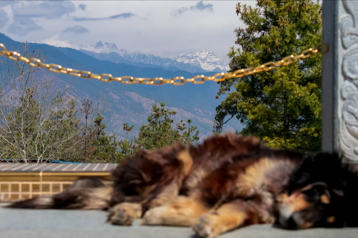 Photo of Thimphu By sourav dash