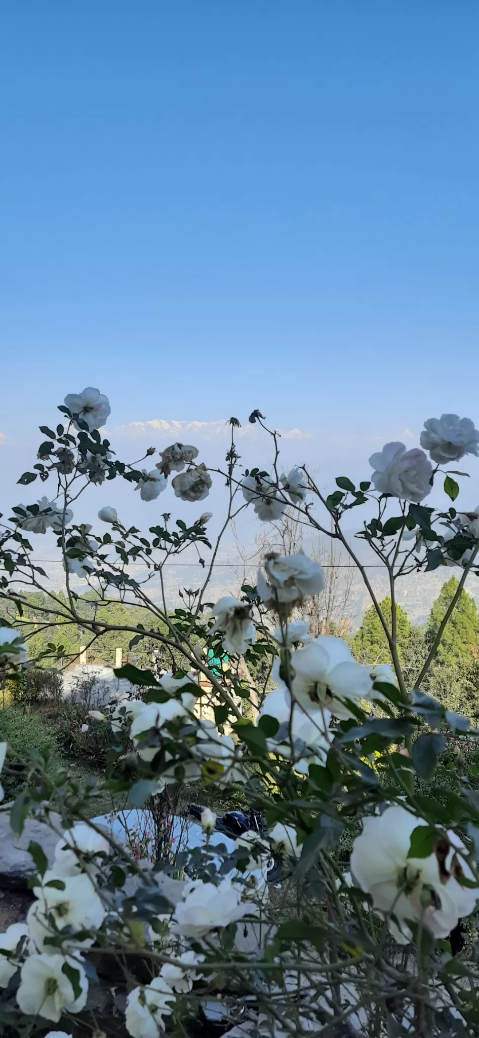 Photo of Kausani uttrakhand By Curvy_bongshell
