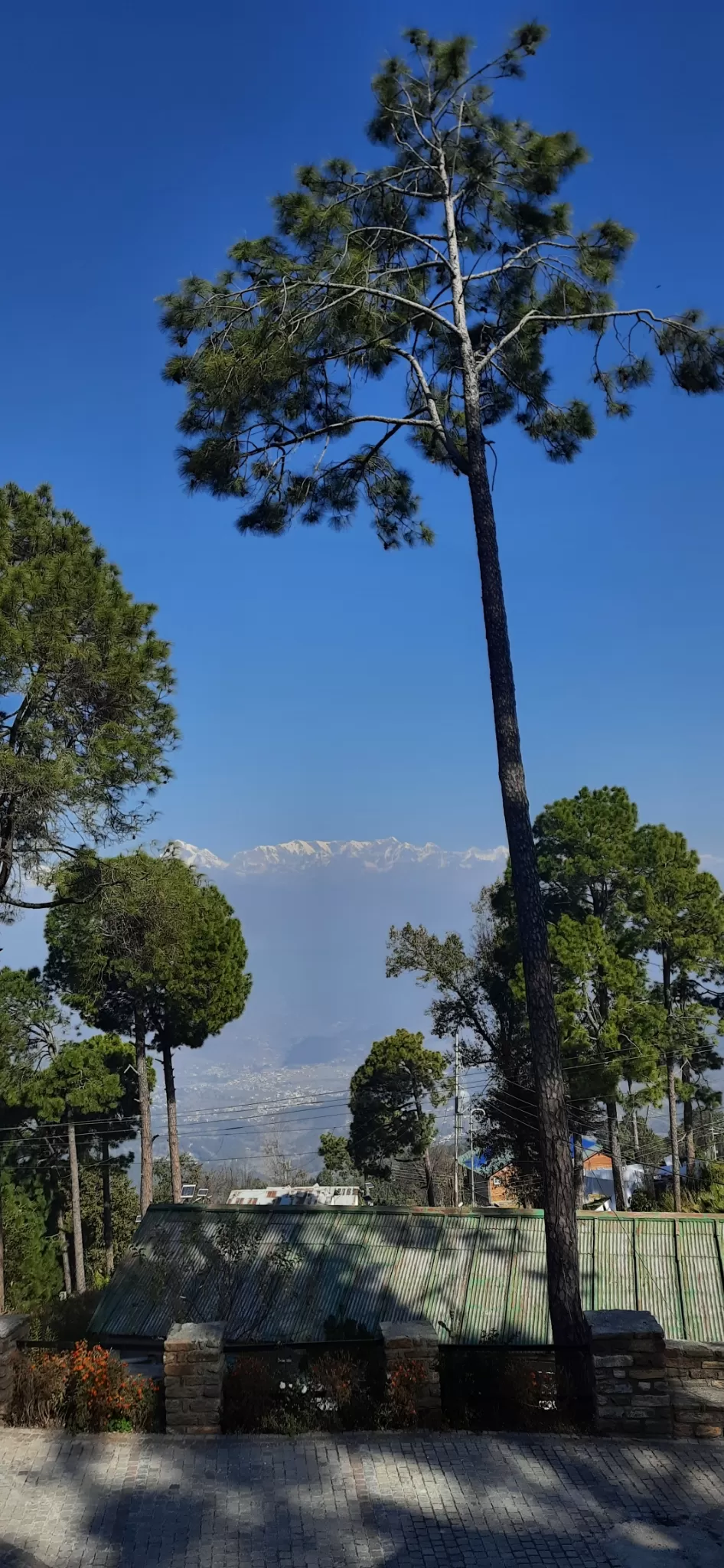 Photo of Kausani uttrakhand By Curvy_bongshell