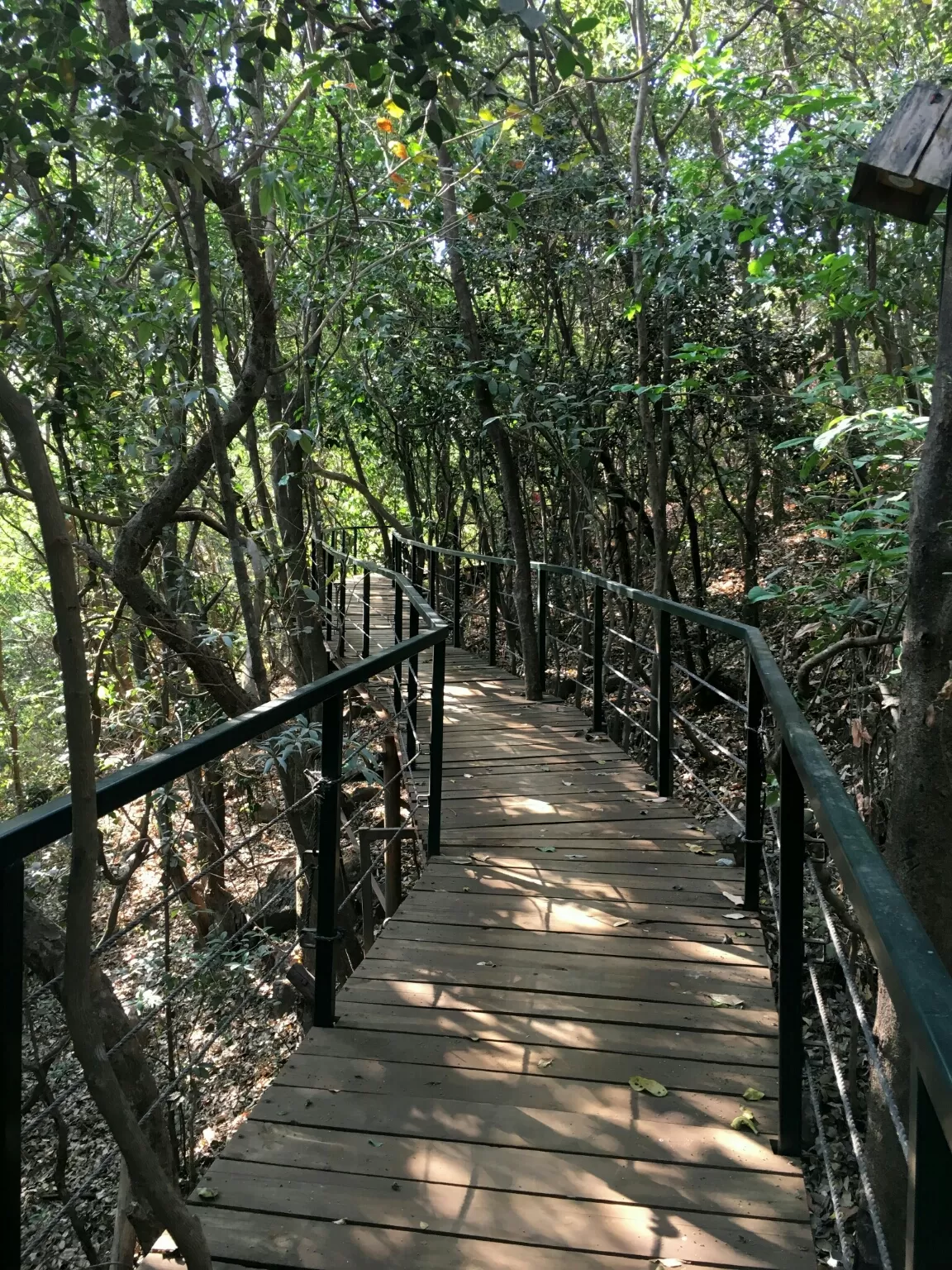 Photo of The Machan By Pooja Patil Suryawanshi