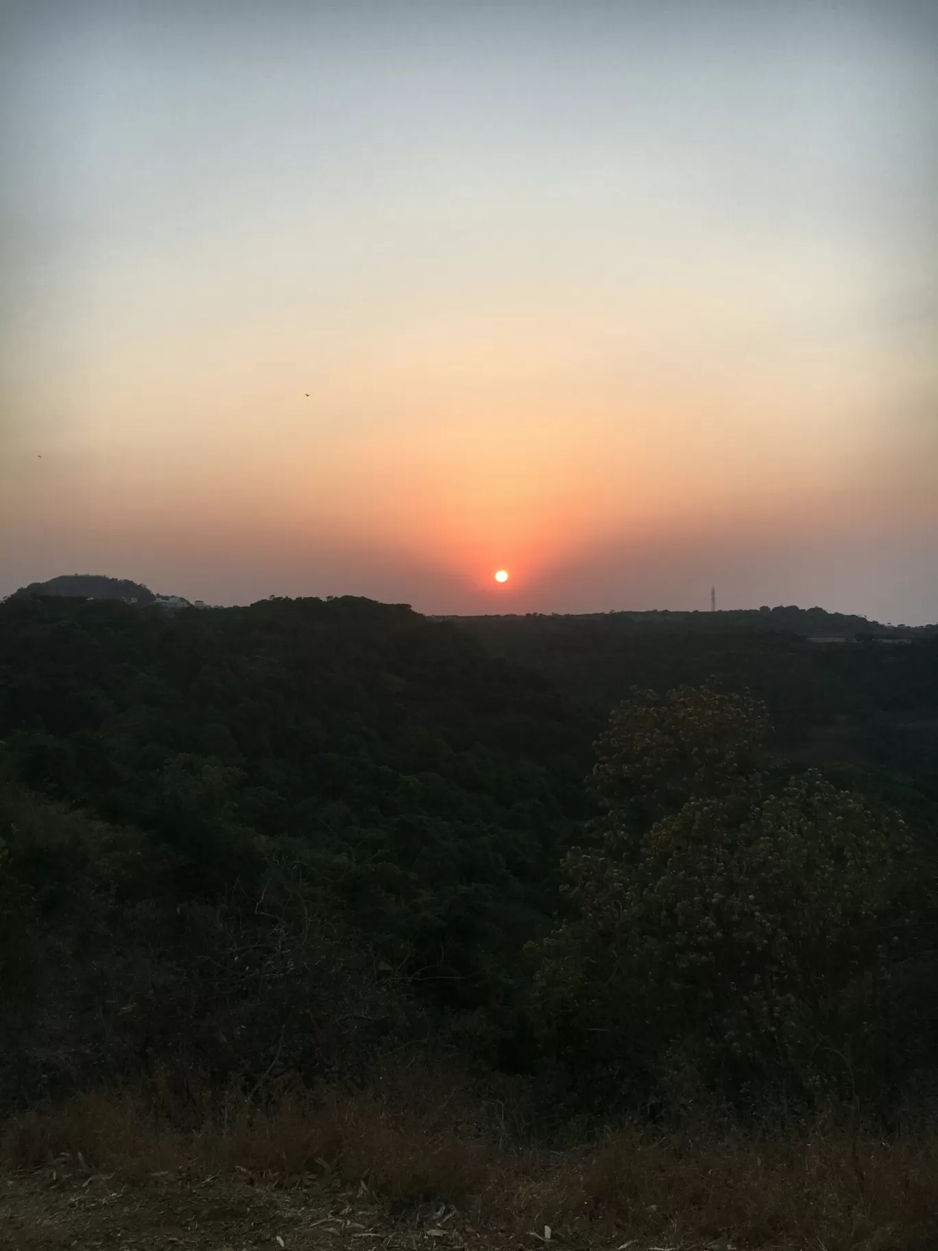 Photo of The Machan By Pooja Patil Suryawanshi
