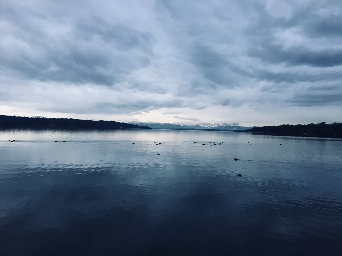 Photo of Lake Starnberg By Saloni Thakur