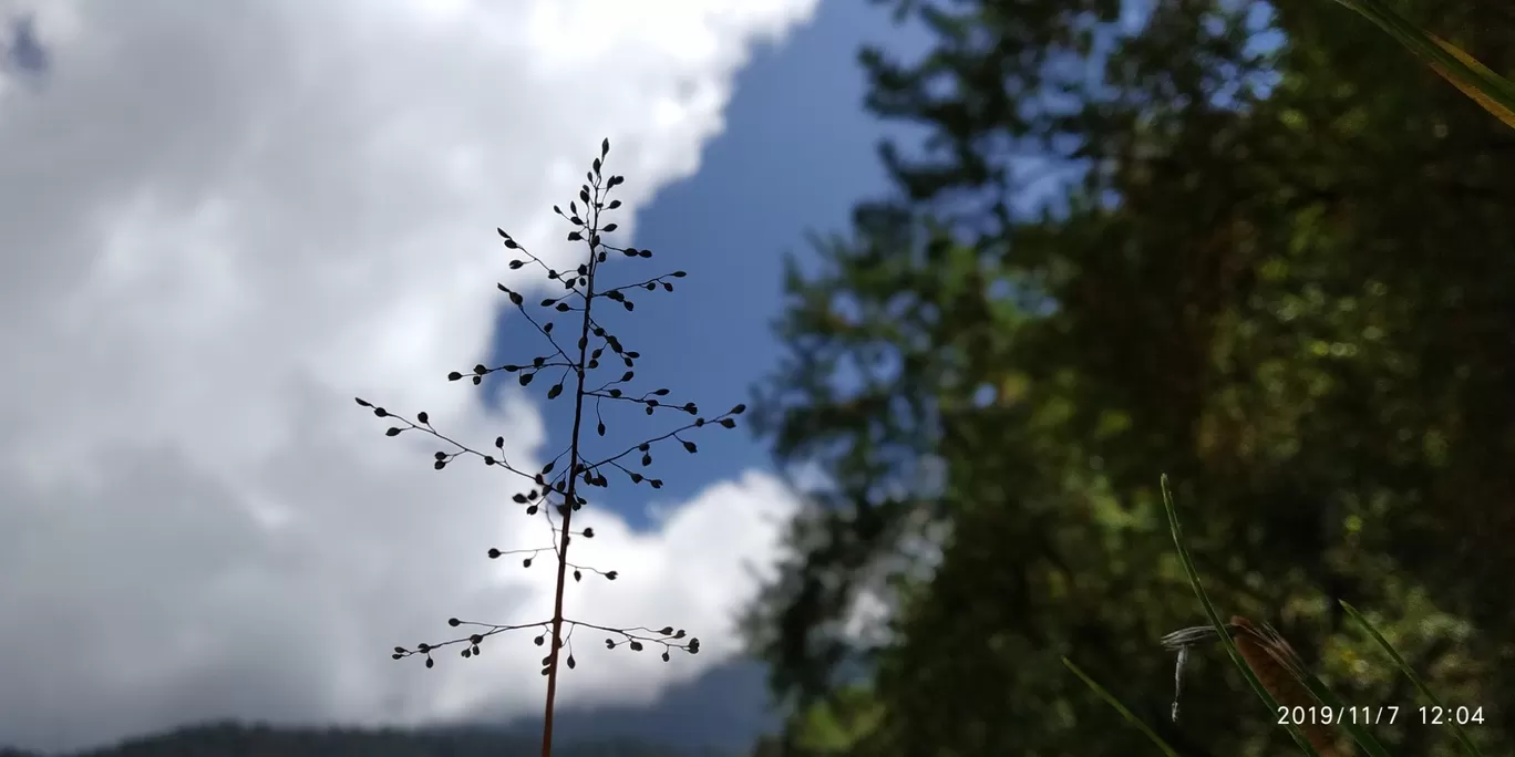 Photo of Thangu Valley By Angsuman Banerjee