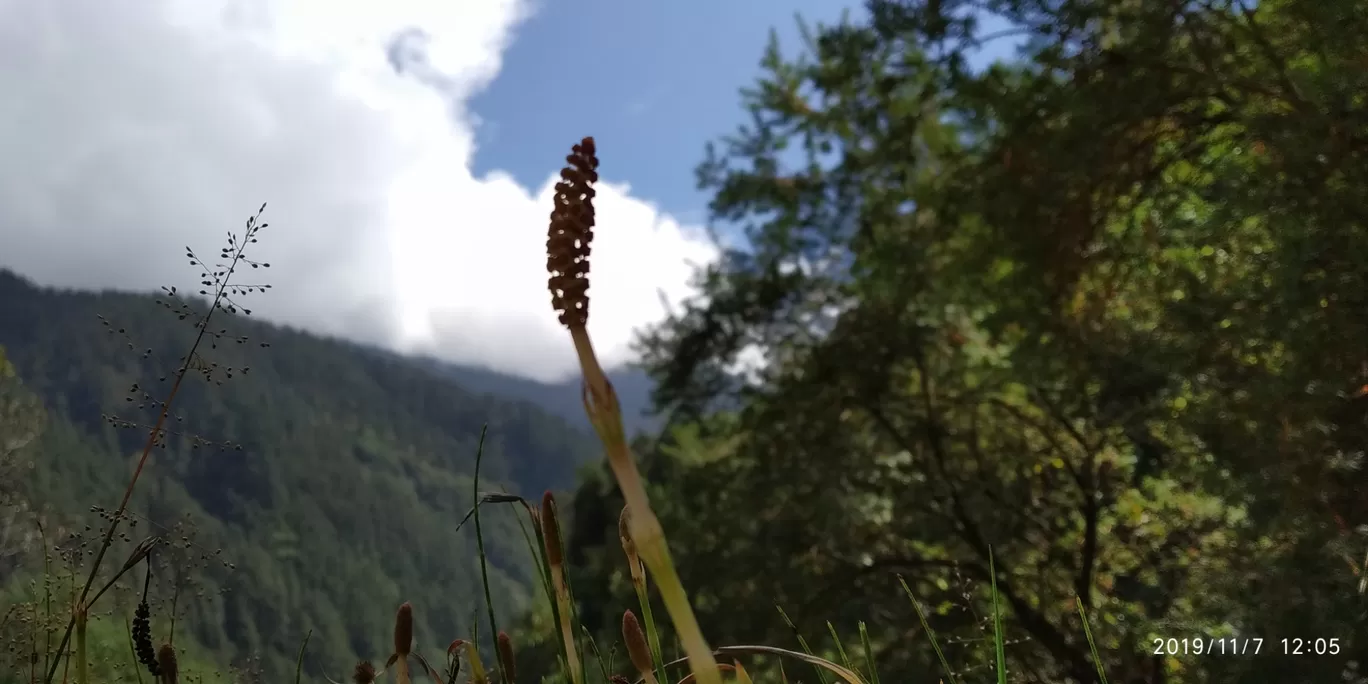 Photo of Thangu Valley By Angsuman Banerjee