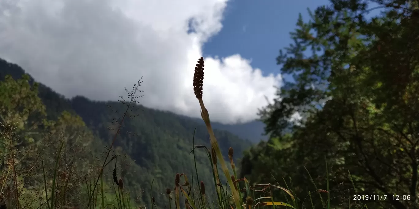 Photo of Thangu Valley By Angsuman Banerjee