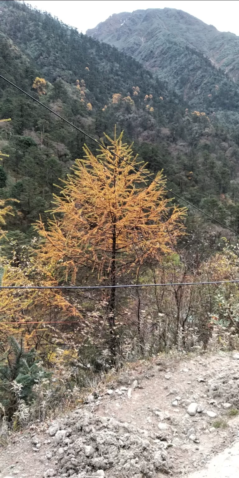 Photo of Thangu Valley By Angsuman Banerjee