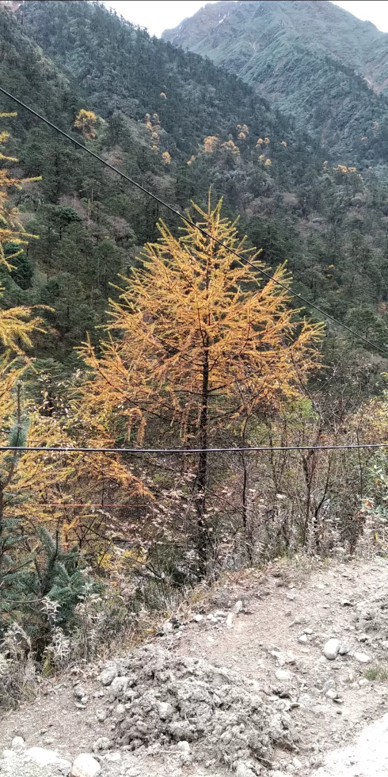 Photo of Thangu Valley By Angsuman Banerjee