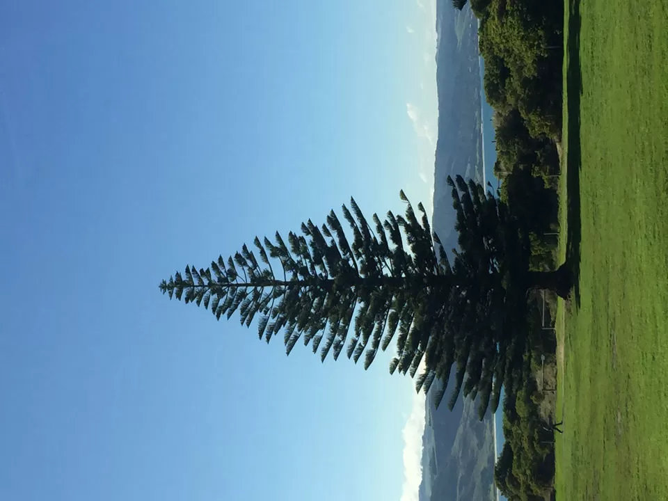 Photo of 89 Great Ocean Road By Karan Nisar