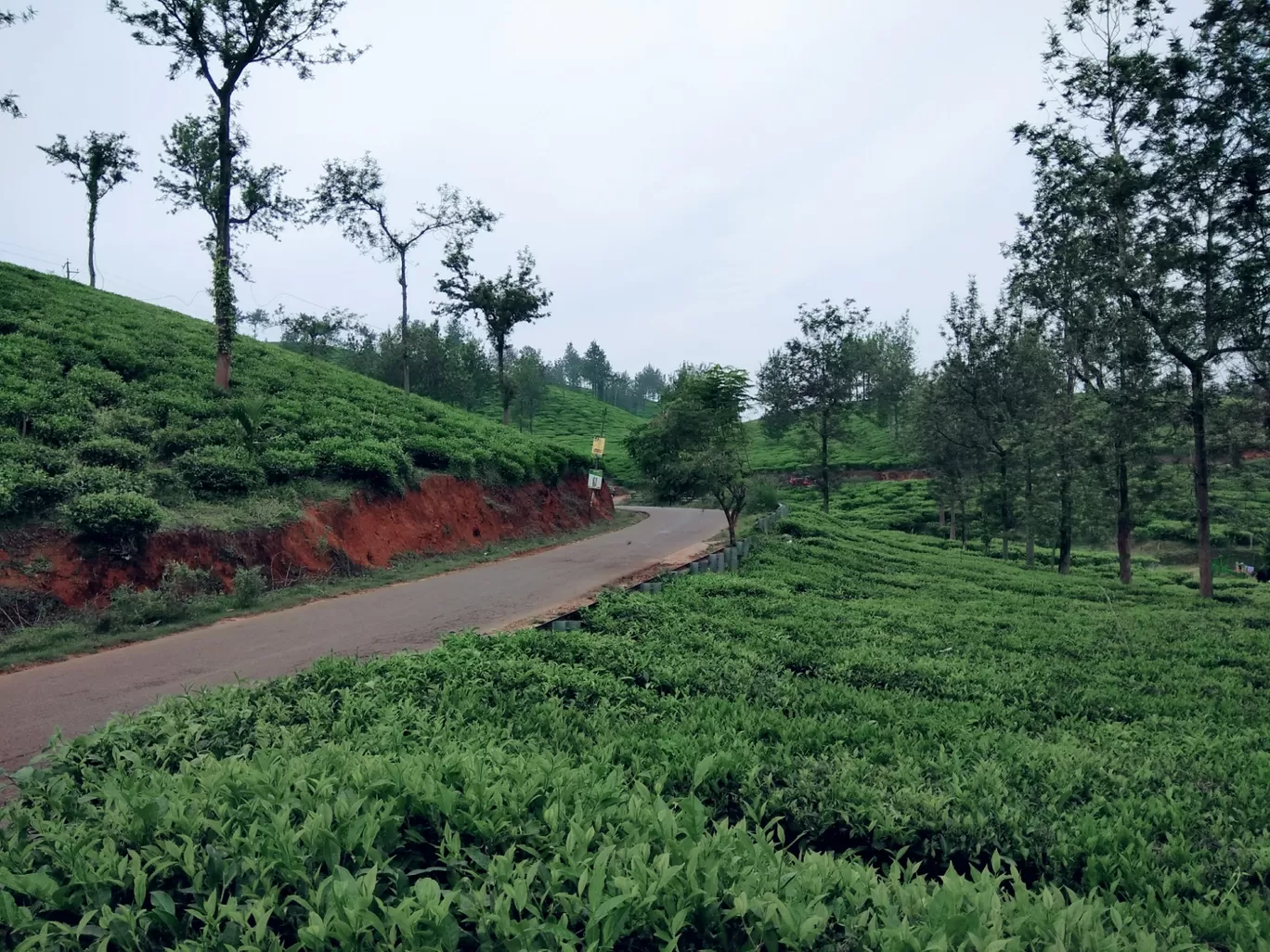 Photo of India By foovelnus