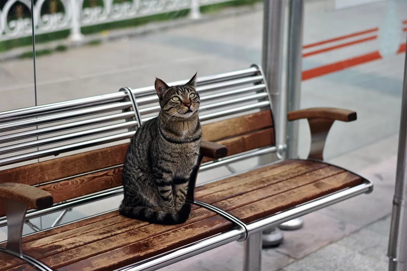 Photo of Istanbul By foovelnus