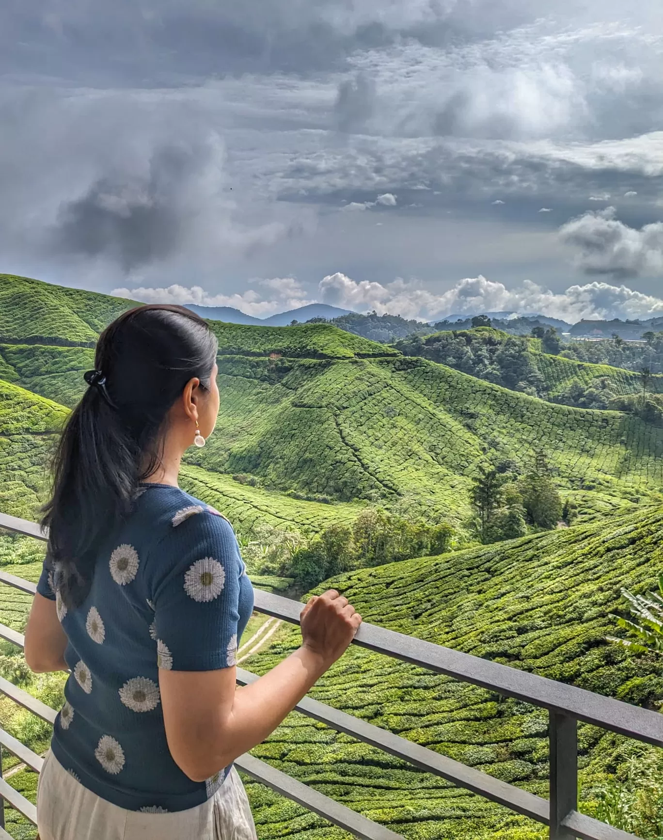 Photo of Cameron Highlands By foovelnus