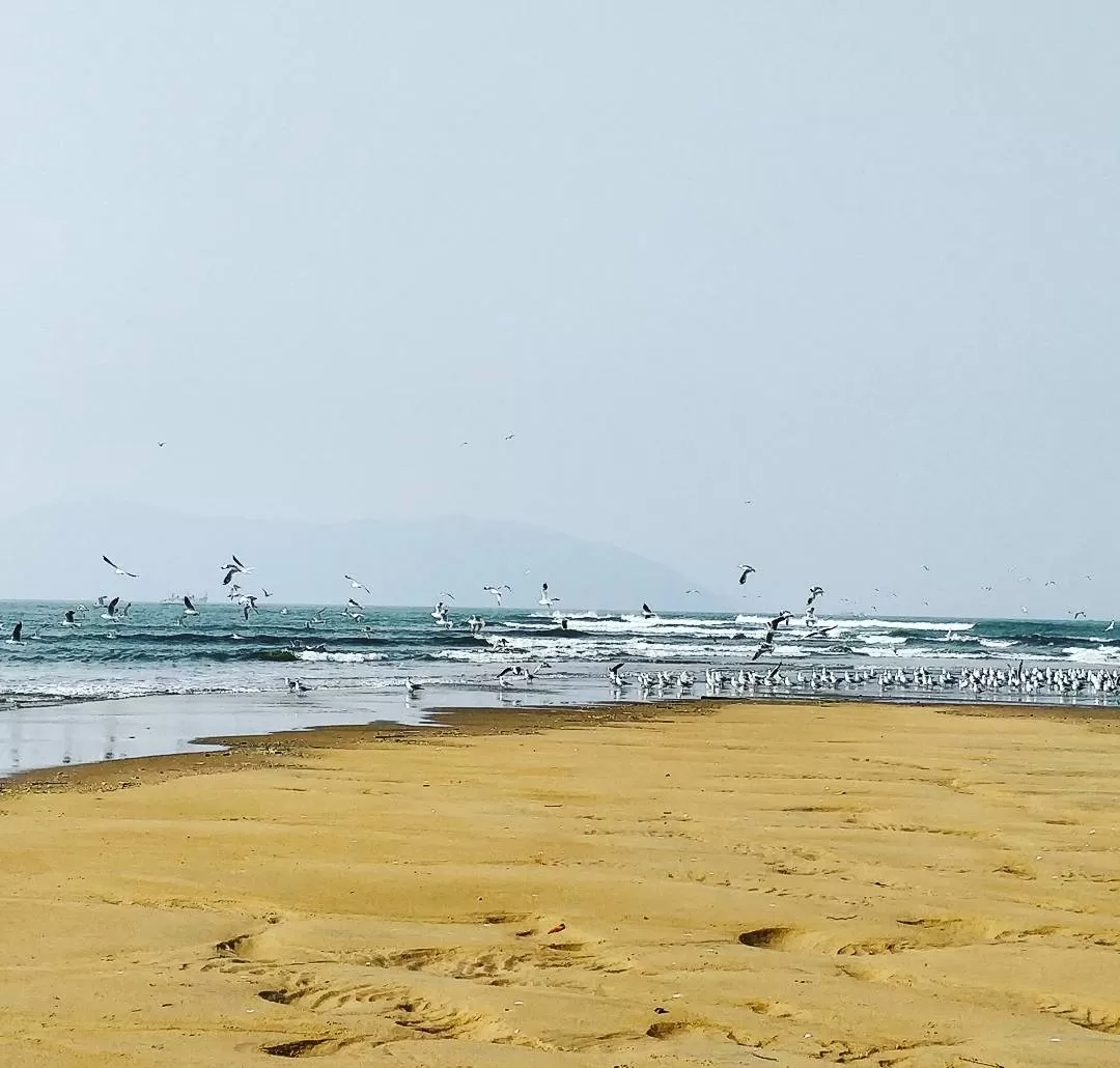 Photo of Devbagh Beach By Rakshitha