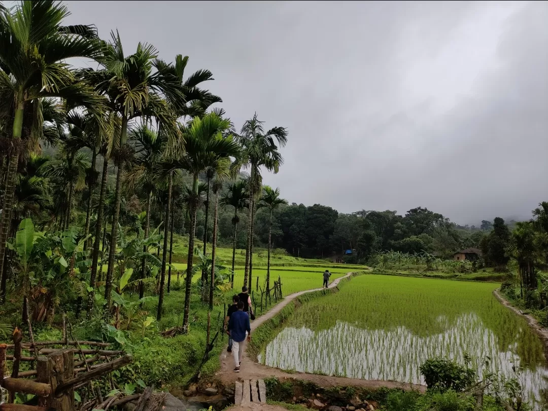 Photo of Thirthahalli By Rakshitha