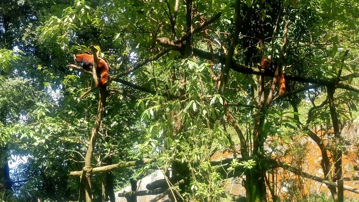 Photo of Zoological Park Darjeeling By AroundThe World