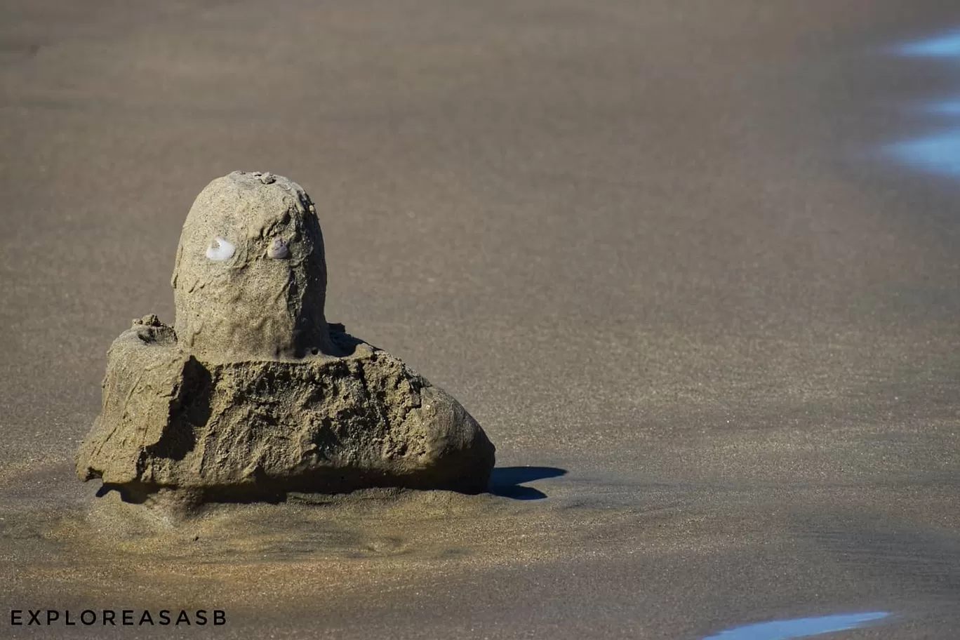 Photo of Paradise Beach By Aditya Bhatia