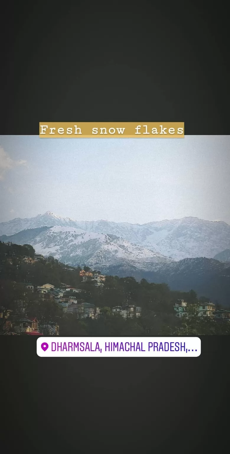 Photo of Palampur - Dharamshala Road By Akhil Arora