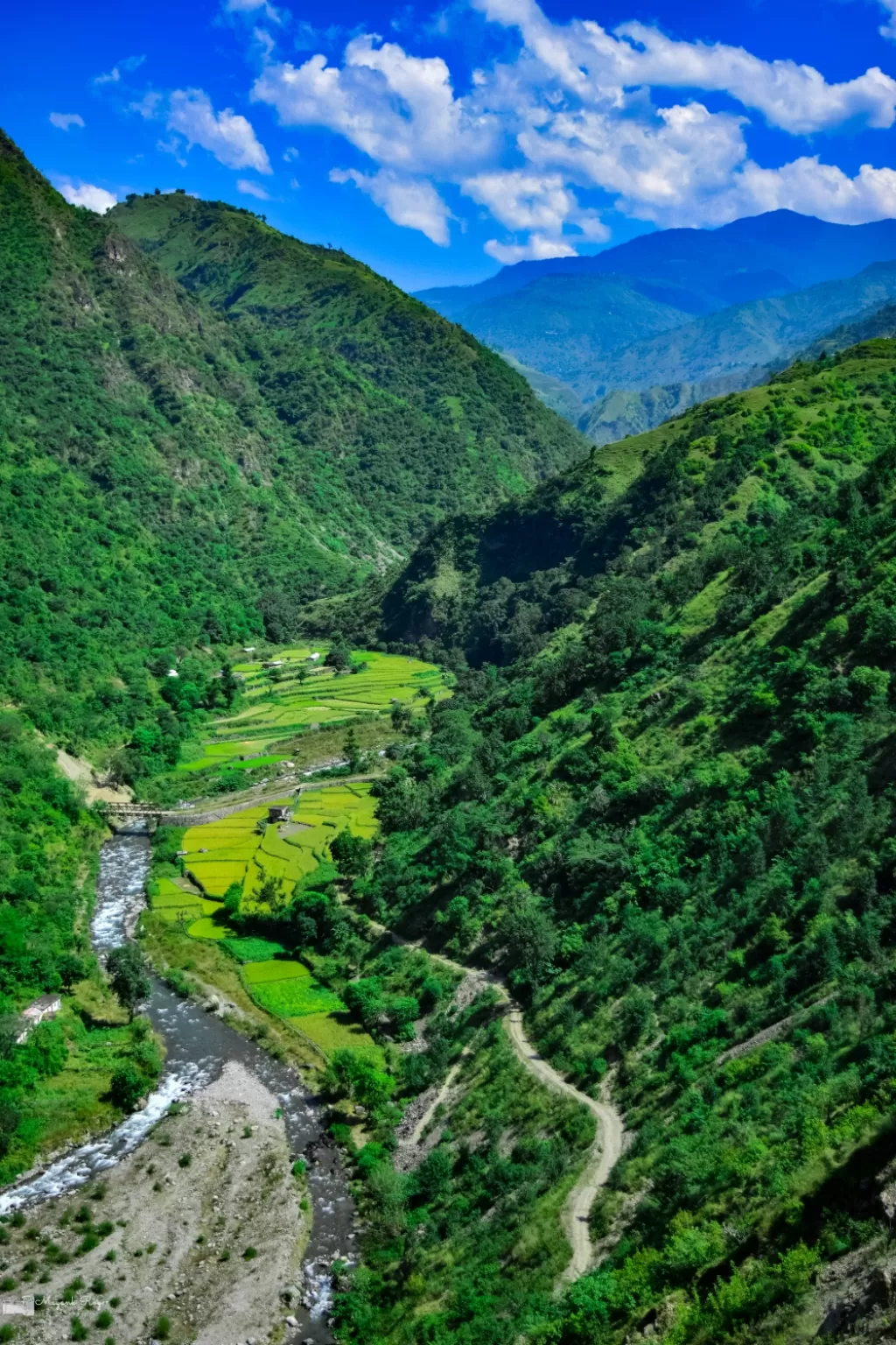 Photo of Nag Tibba Trek By Mayank Roy