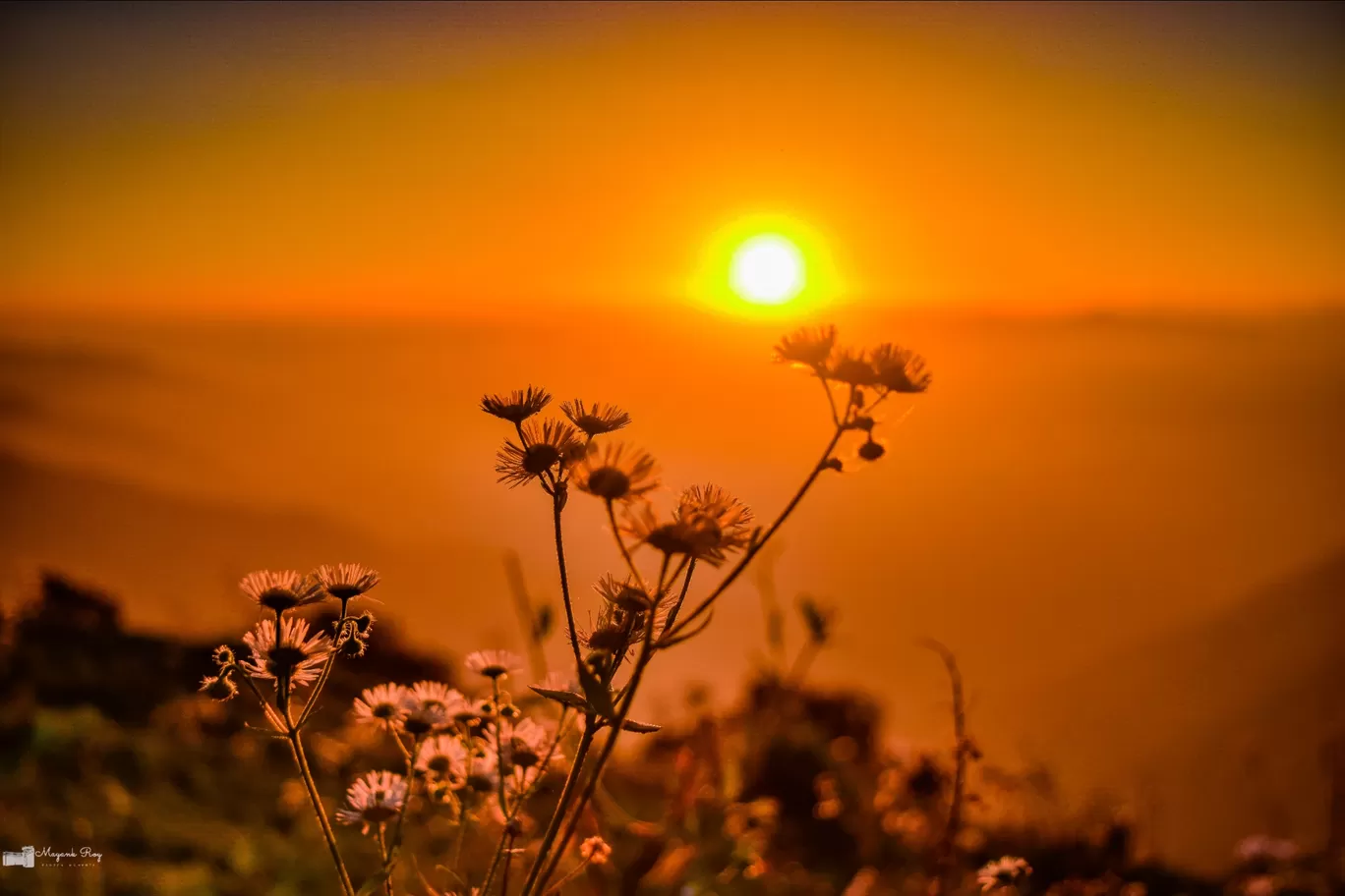 Photo of Nag Tibba Trek By Mayank Roy