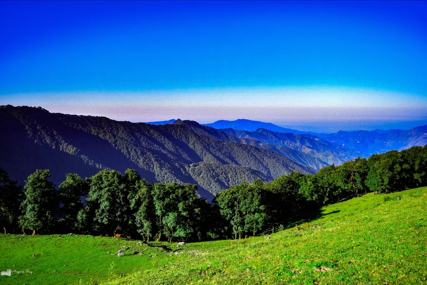 Photo of Nag Tibba Trek By Mayank Roy