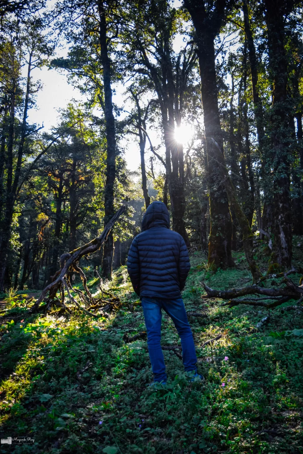 Photo of Nag Tibba Trek By Mayank Roy