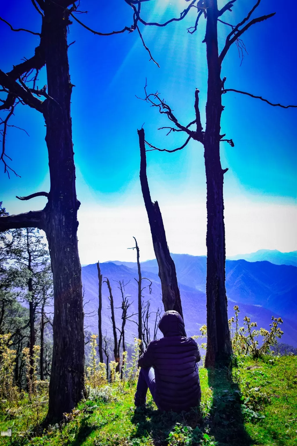 Photo of Nag Tibba Trek By Mayank Roy