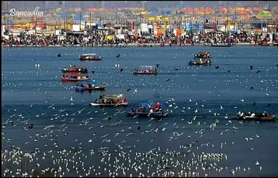 Photo of Triveni Sangam Allahabad By Rishabh Singh