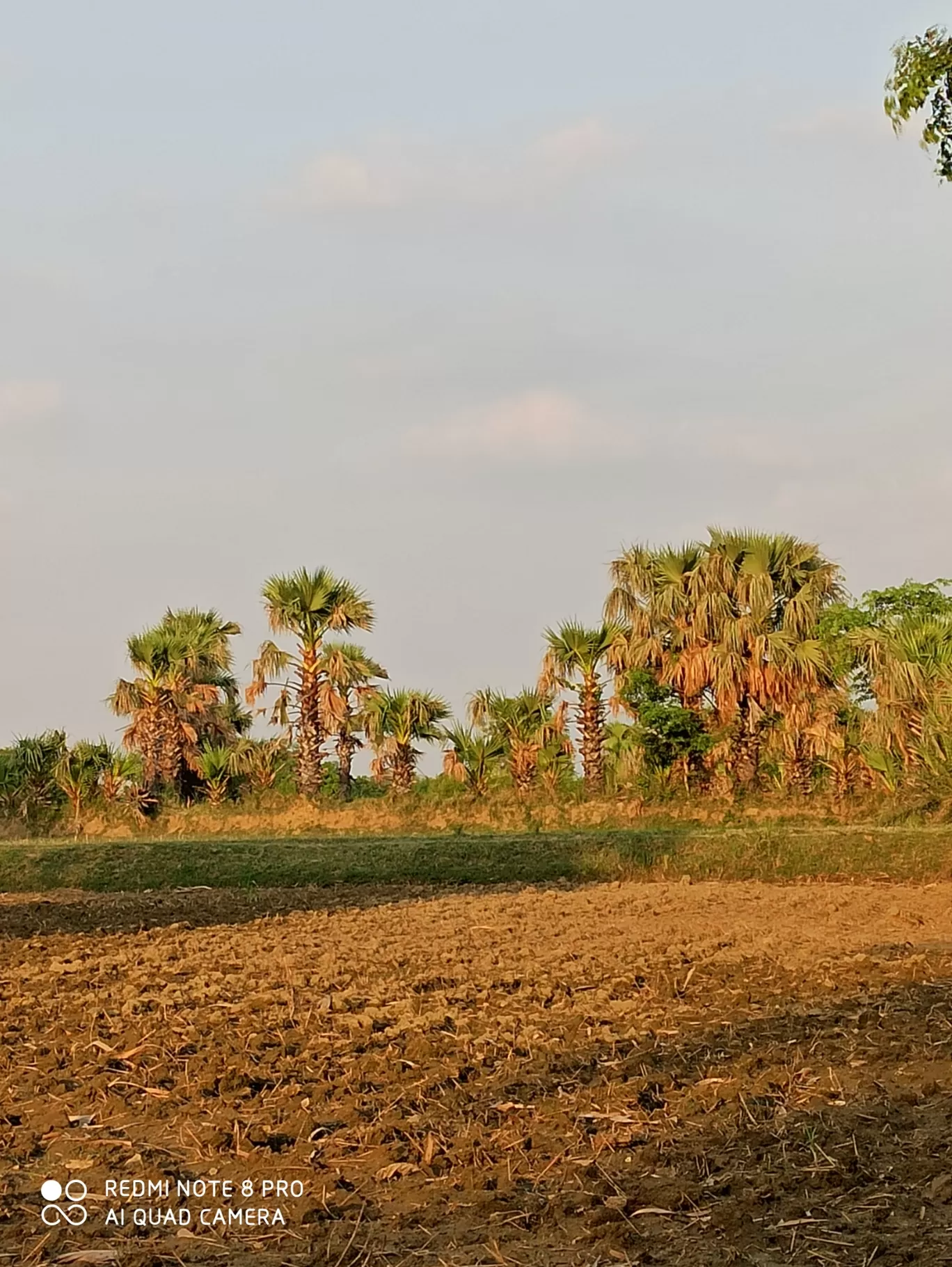 Photo of Mirzapur-cum-Vindhyachal By Ashutosh Gupta