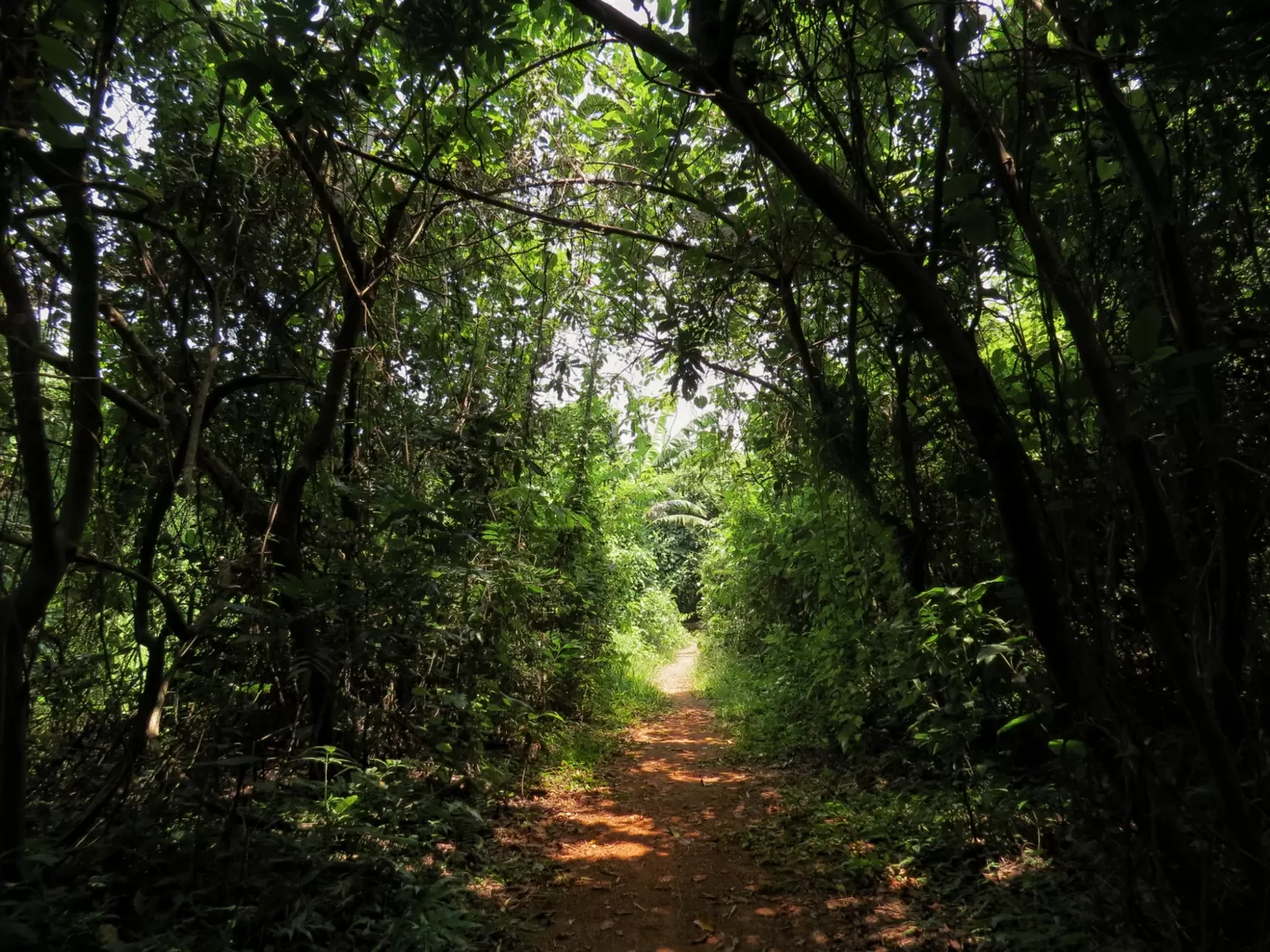 Photo of Chintamani Kar Bird Sanctuary By Parnasha Hazra