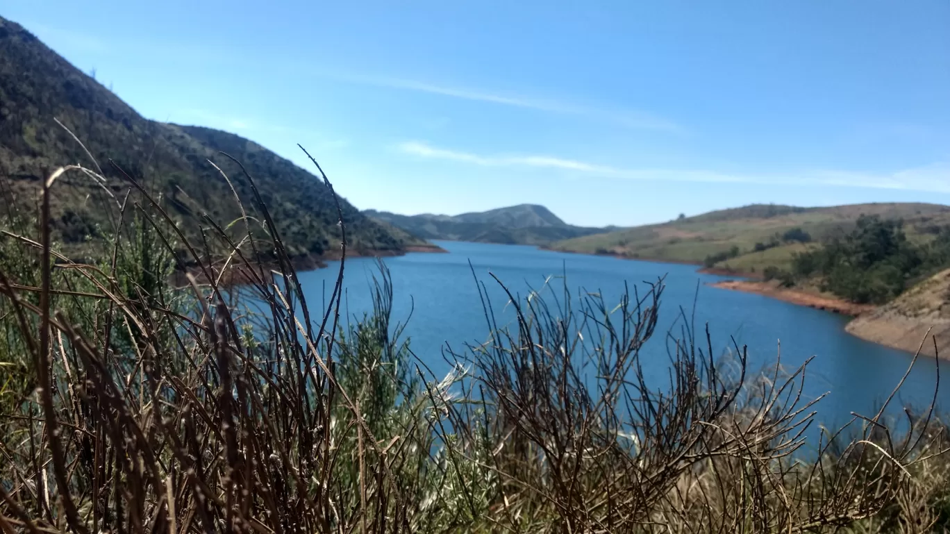 Photo of Avalanche Lake By Pooja Singh