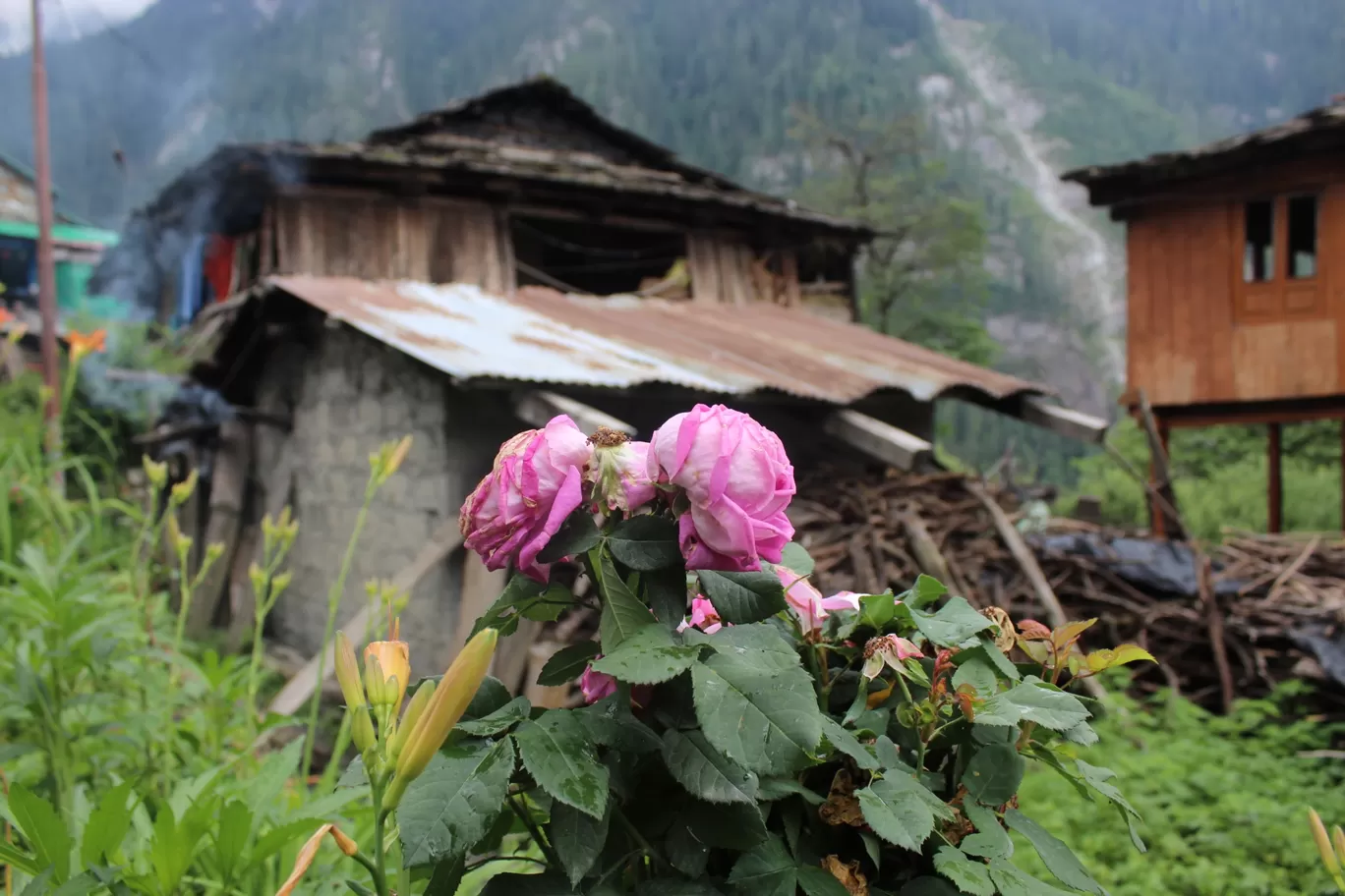 Photo of Grahan By Kratika C