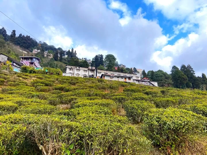 Photo of Darjeeling By Kratika C