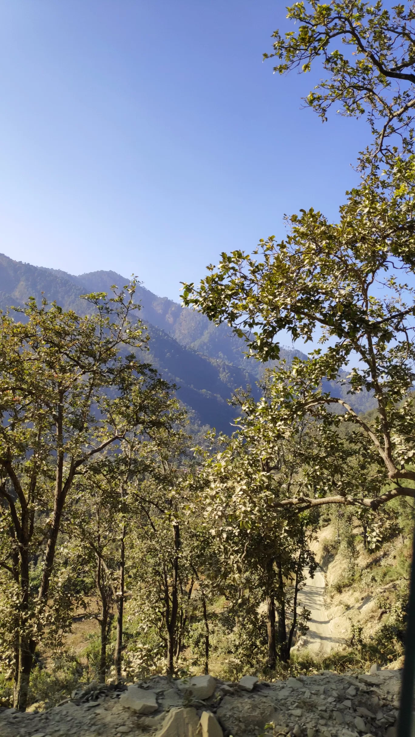 Photo of Uttarakhand By bhawna sain