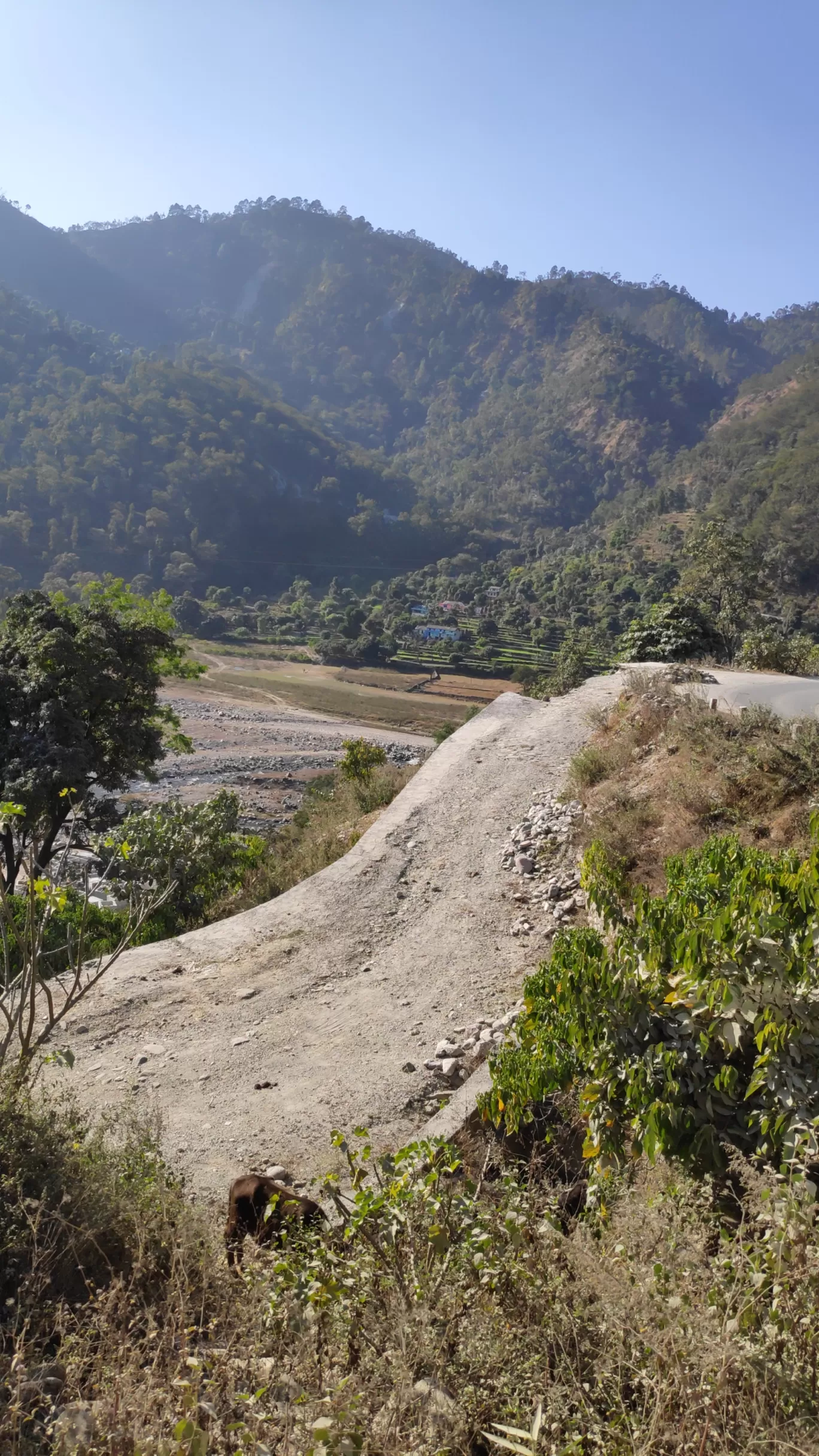 Photo of Uttarakhand By bhawna sain