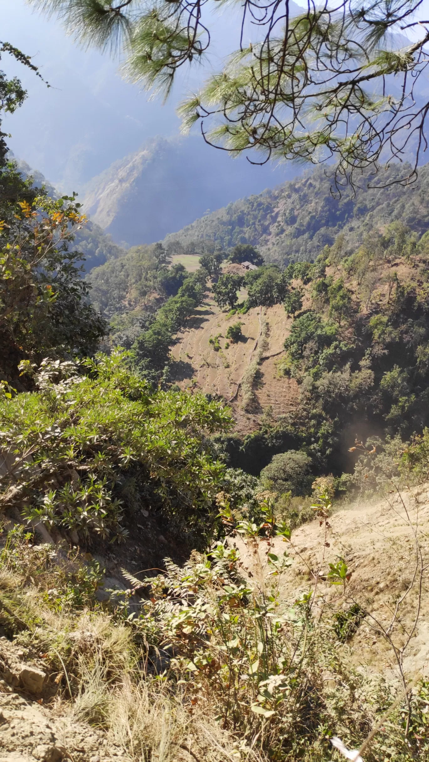 Photo of Uttarakhand By bhawna sain