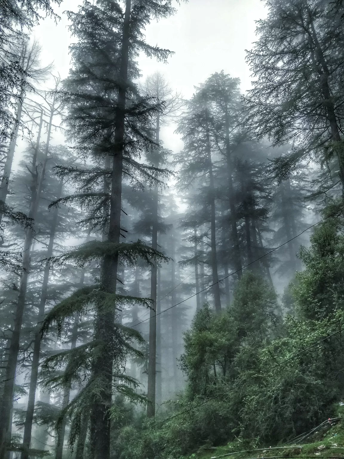 Photo of McLeod Ganj By Vibhor Chauhan