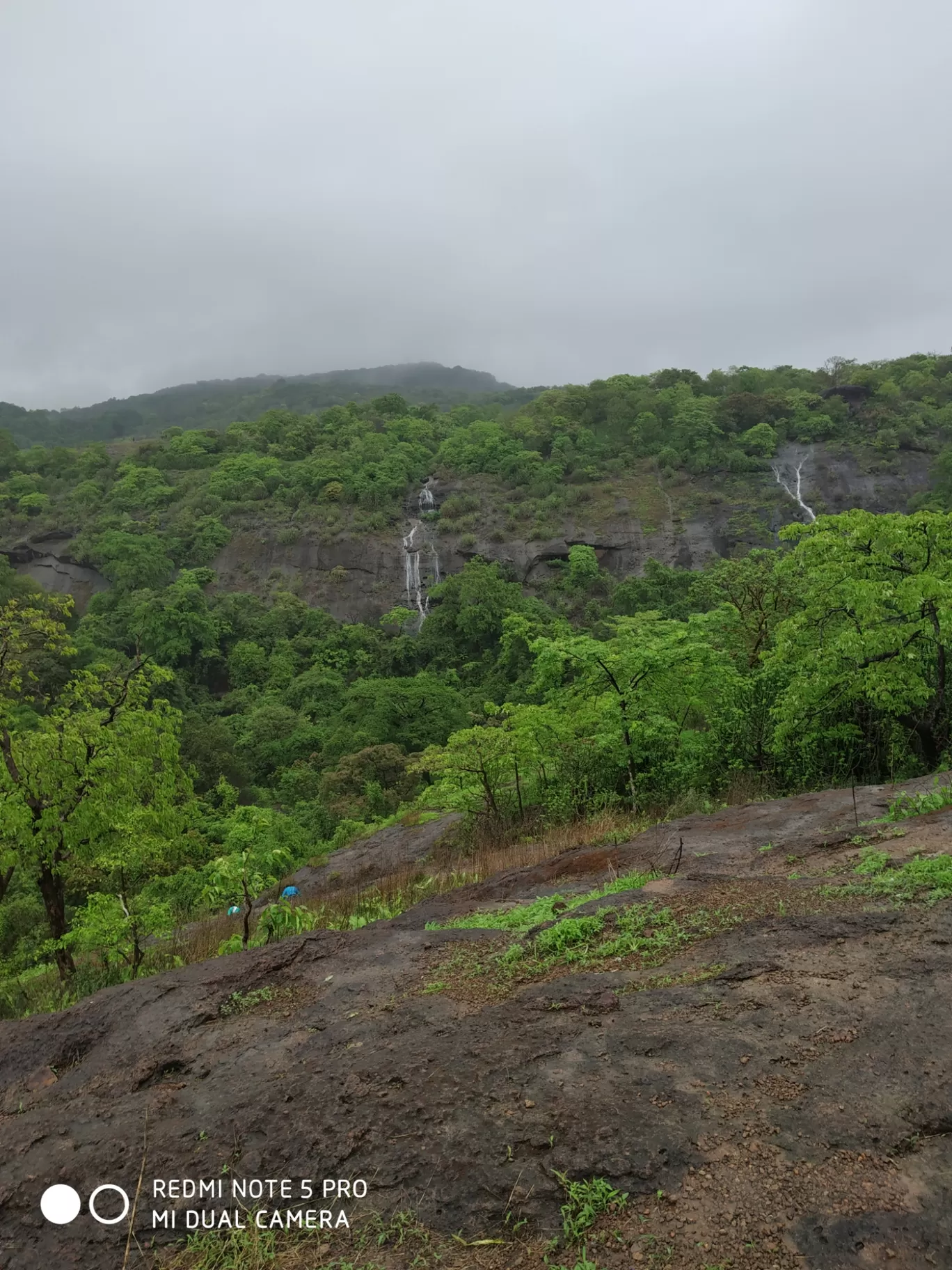 Photo of Sanjay Gandhi National Park By Kishan Lotiya