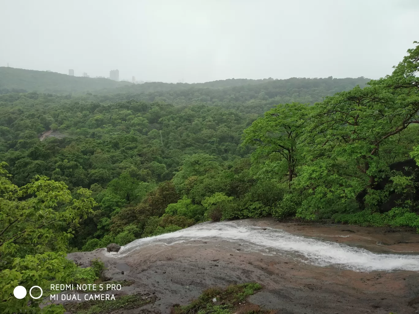 Photo of Sanjay Gandhi National Park By Kishan Lotiya