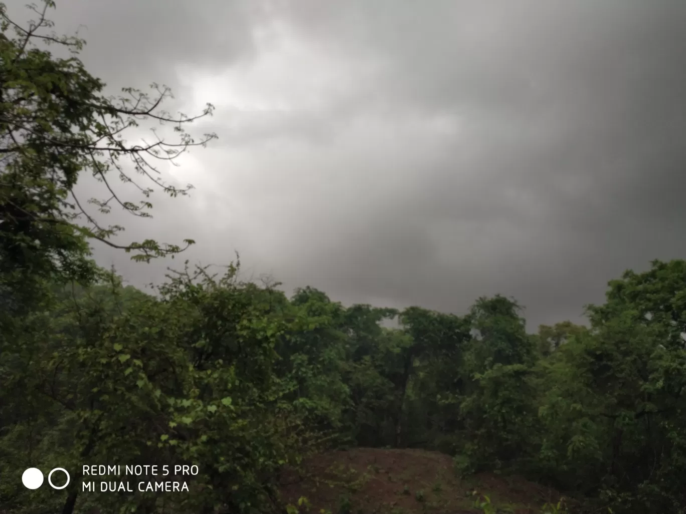 Photo of Sanjay Gandhi National Park By Kishan Lotiya